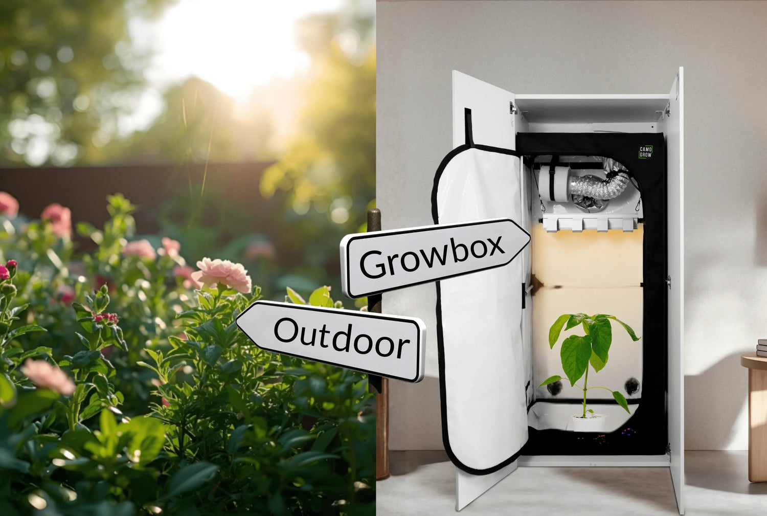 Growbox vs. Outdoor Was lohnt sich mehr für Anfänger