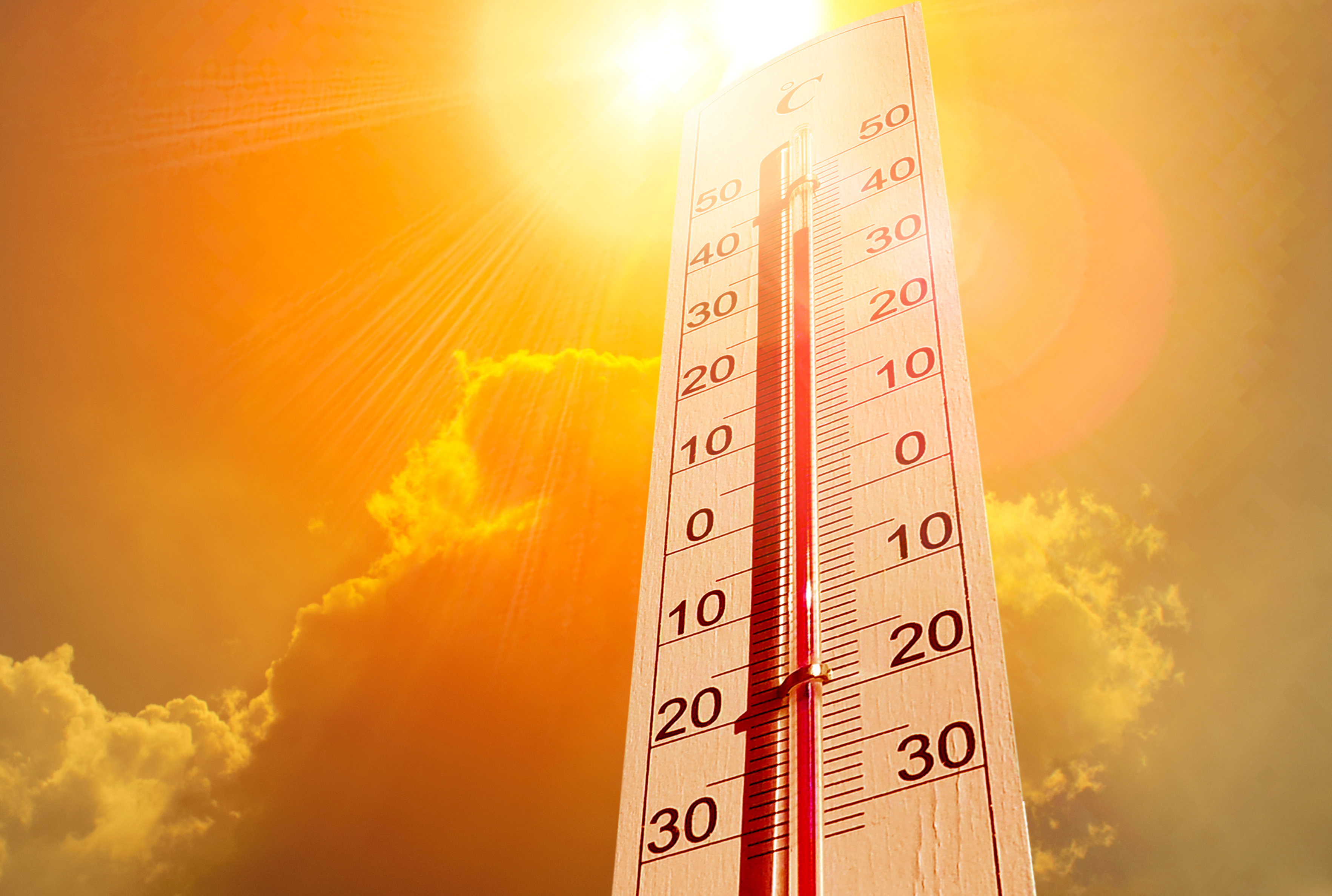 Wie du Temperaturprobleme in deinem Zelt in den Griff bekommst