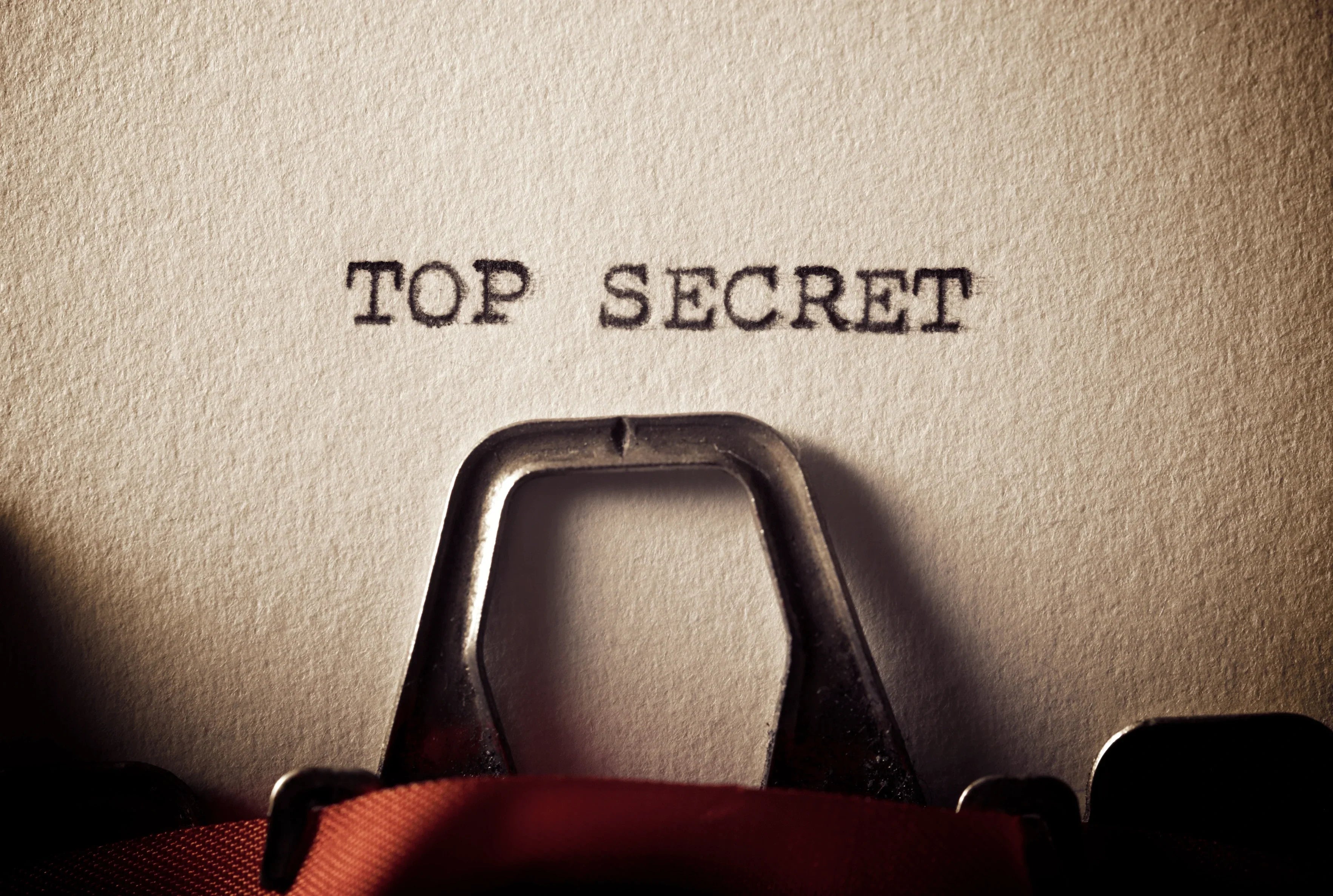 So sicherst du dein Zelt vor neugierigen Mitbewohnern